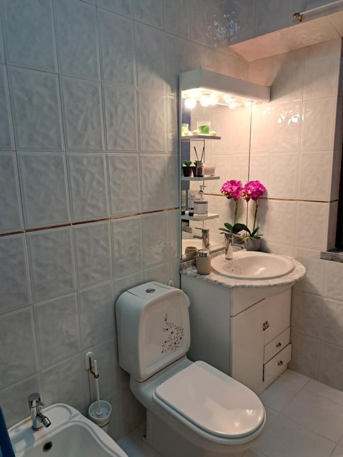 Beja Garden Apartamento Com Terraco Privado Dış mekan fotoğraf