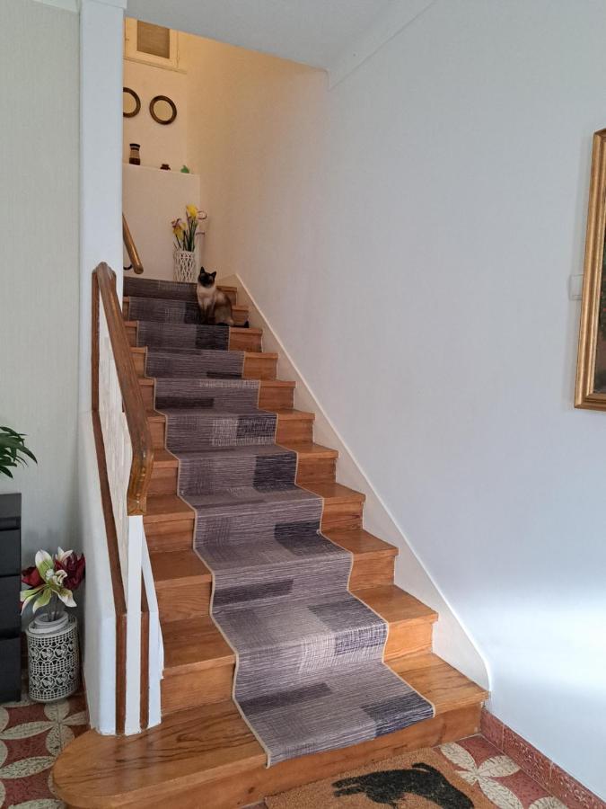 Beja Garden Apartamento Com Terraco Privado Dış mekan fotoğraf